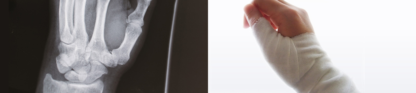 主な疾患と治療